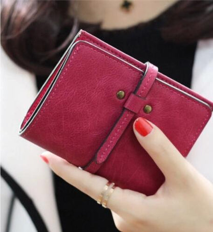 Colección de Carteras y Bolsos